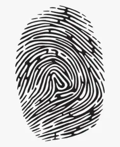 Goodwin Canada - Rcmp Accredited Fingerprinting In Toronto Ink Fingerprints