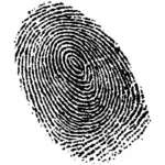 Ink-Rolled Fingerprints